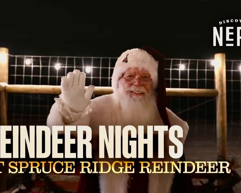 Reindeer & Santa Holiday Experience in Albrightsville