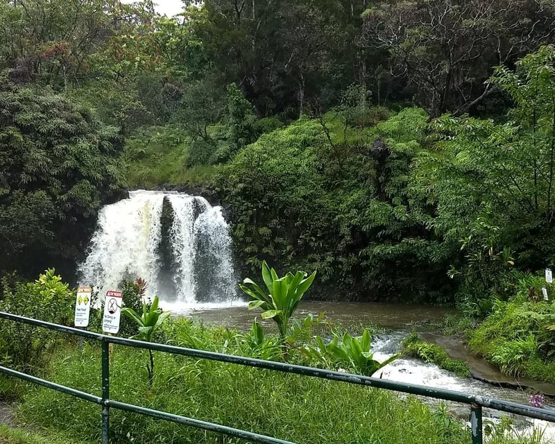 Full-Day Road to Hana Tour on Maui with Black Sand Beach