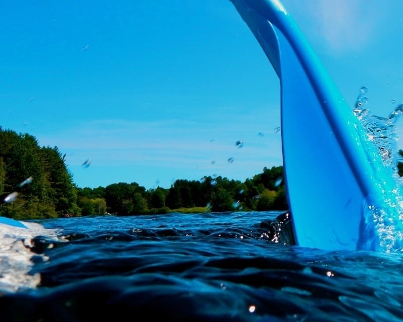Full-Day Paddleboard Rental at Cabezas de San Juan Reserve