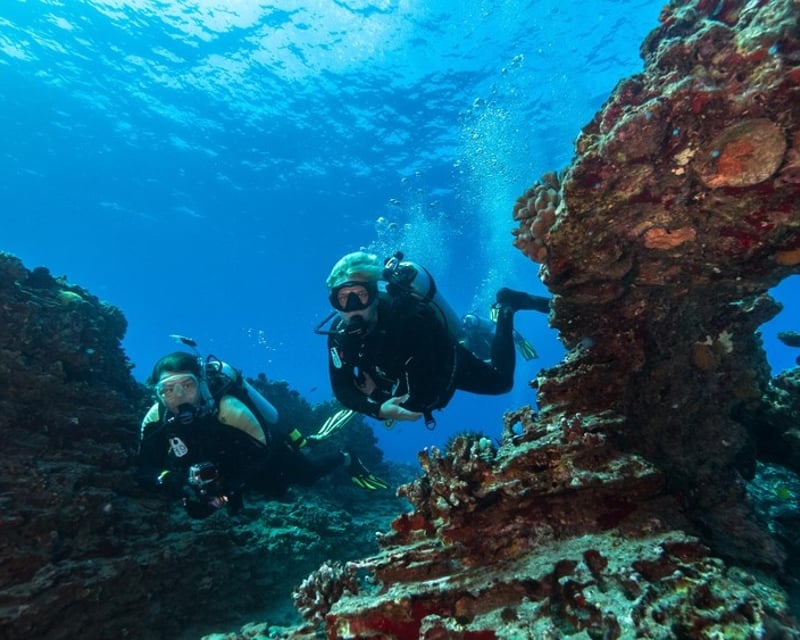 PADI Discover Scuba Diving Reef Tour In Honolulu