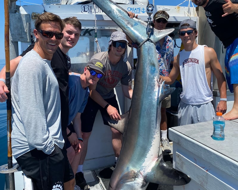 Shark Fishing Charter in Gloucester