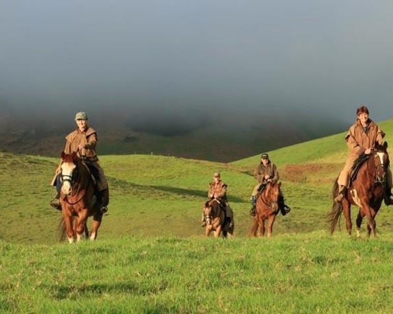 Afternoon Paniolo Horseback Ride on Kohala Mountain