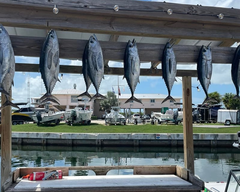 Private Half-Day Reef & Wreck Fishing Charter in Islamorada