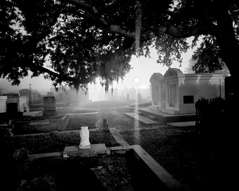 Haunted City and Cemetery Bus Tour