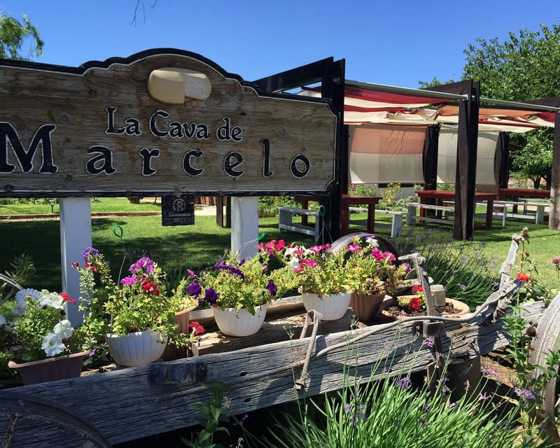 Cheese & Wine Tour in Ojos Negros Valley from Ensenada