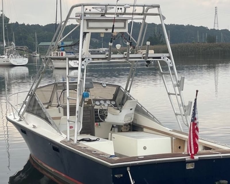 Half-Day Private Fishing Charter in Old Saybrook