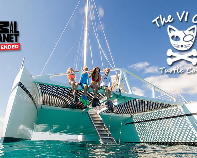 Turtle Cove Snorkel & Sail Cruise From St. Thomas