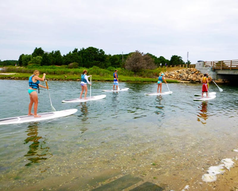 Beginner Stand-Up Paddleboard Tour in Oak Bluffs