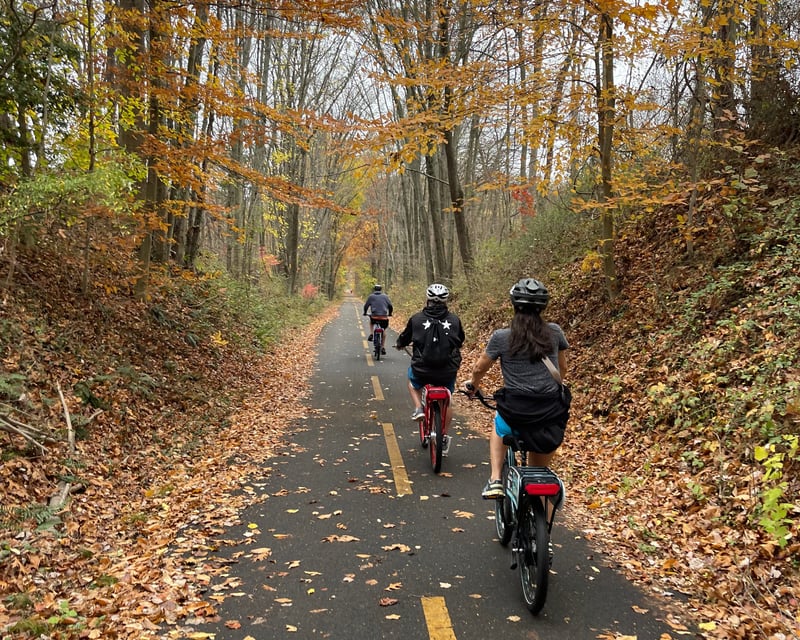 Leesburg Self-Guided E-Bike Brewery Tour