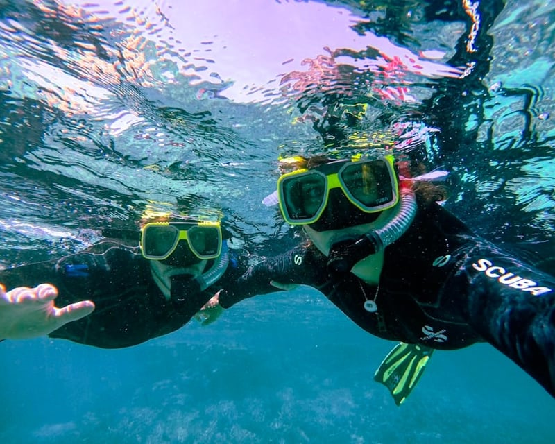 Private Backcountry Snorkel & Sandbar Tour in Key West