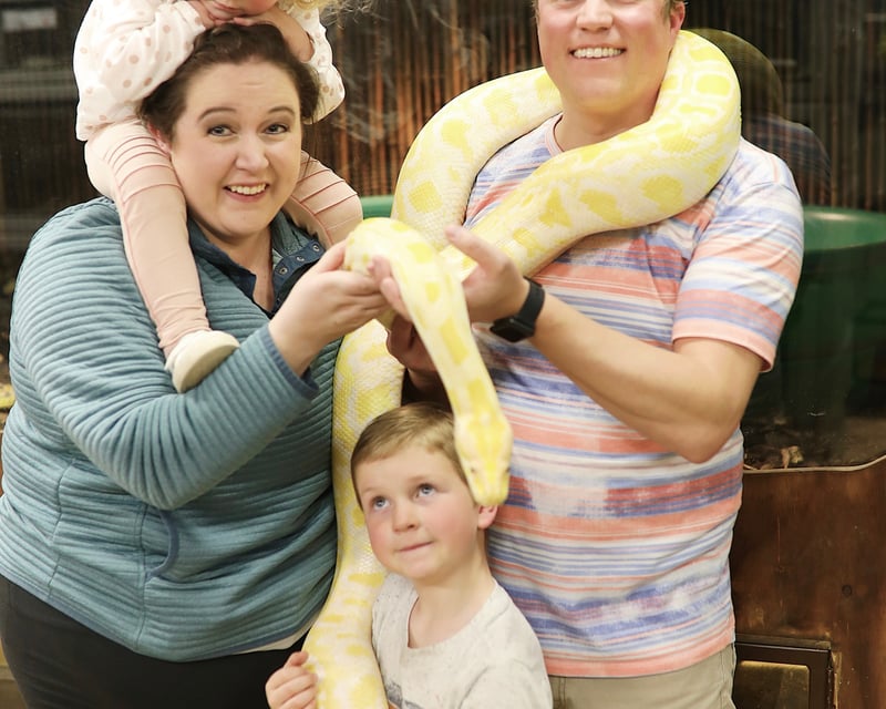1-Hour Reptile Encounter in Kearns