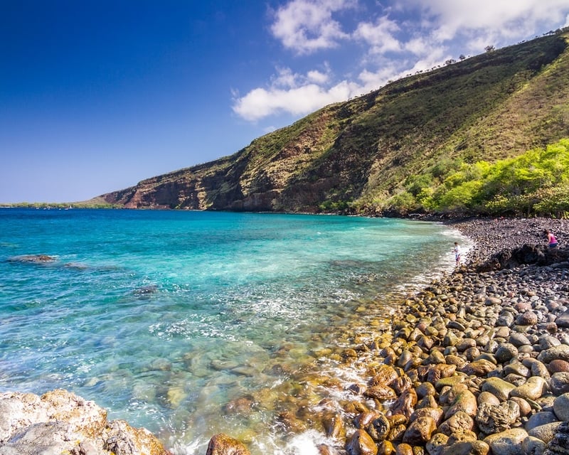Kealakekua Bay 3-Hour Snorkel Cruise