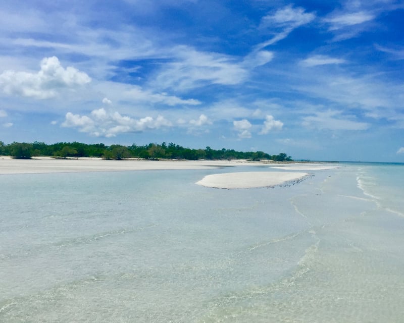 Lower Keys Sandbar Cruise