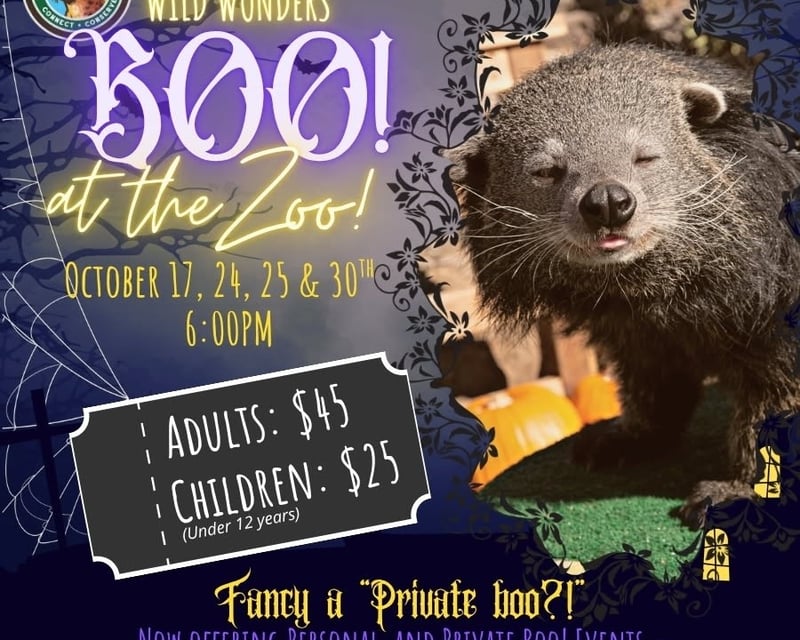 Bonsall Halloween Flashlight Zoo Tour