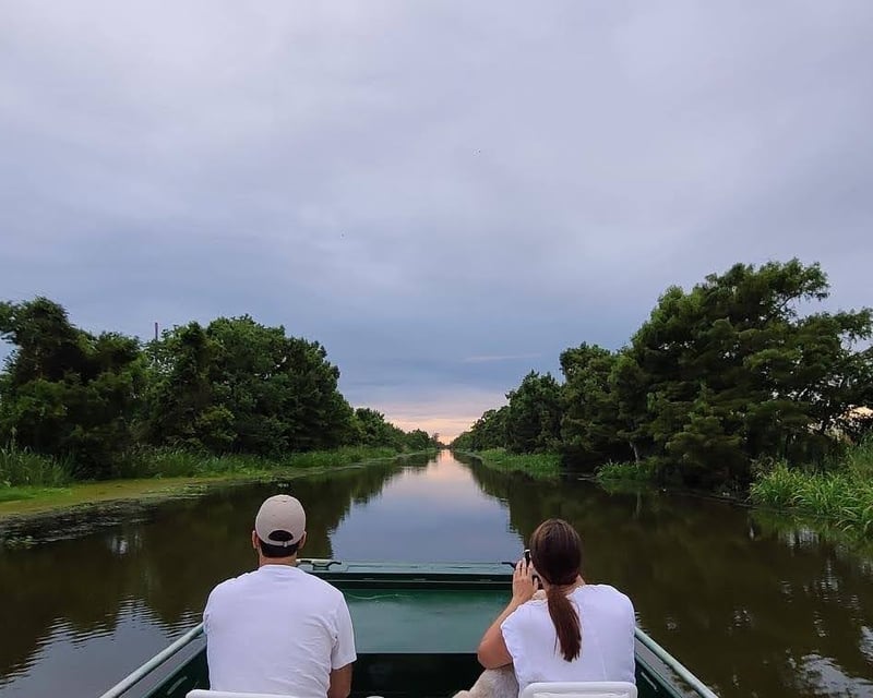 2-Hour Maurepas Swamp Tour