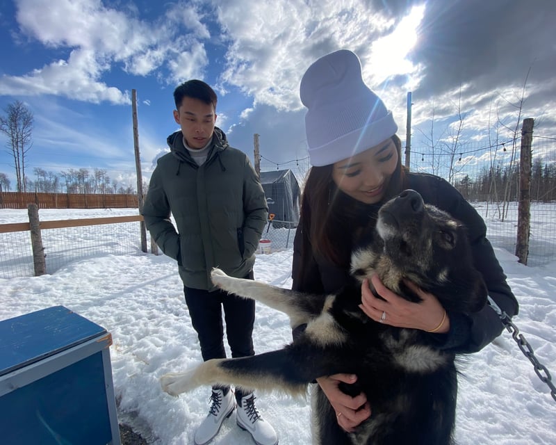 Family Dog Sledding & Kennel Tour in Willow, Alaska