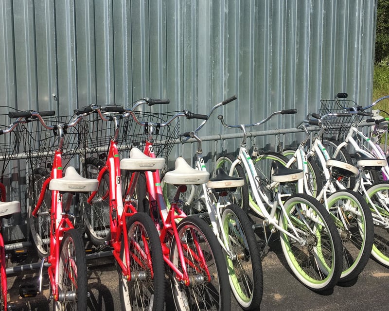 Bike Rentals at Lake Louisa State Park
