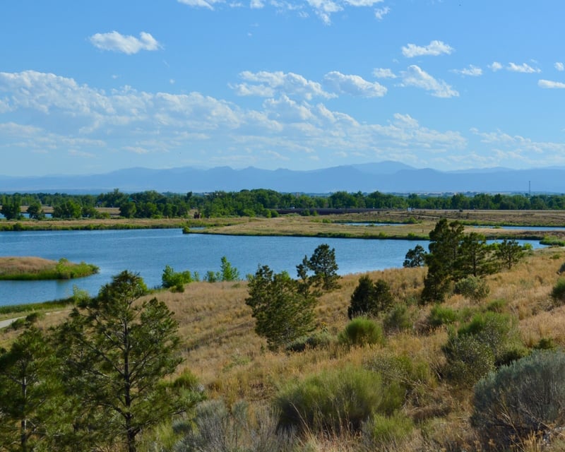 1-Hour Paddleboard & Kayak Rental at Barefoot Lake