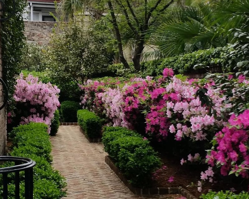 Private Historic House & Garden Tour in Charleston