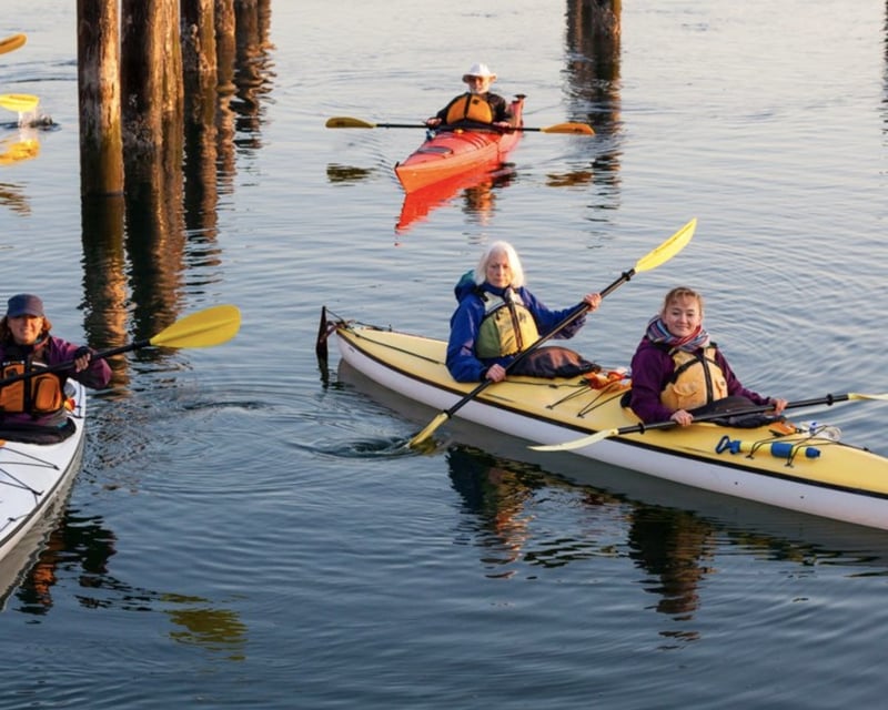 Beginner Kayak Tour on Whidbey Island from Langley