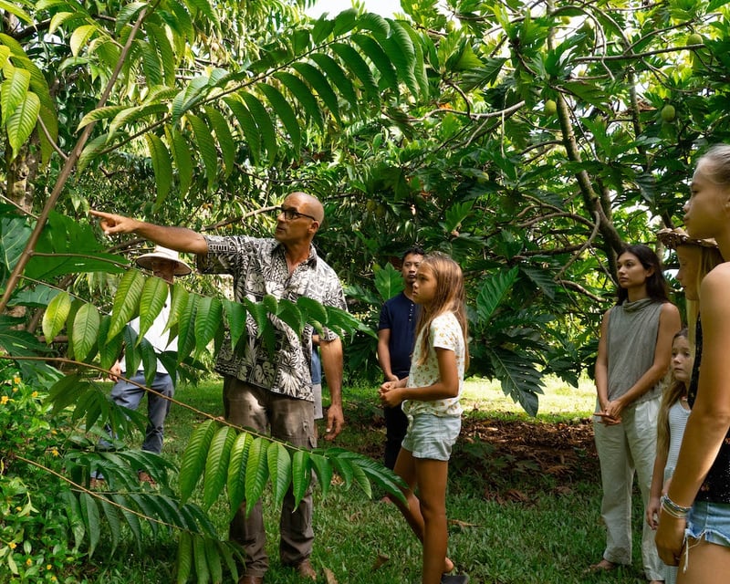 Farm Tour & Island-Sourced Dinner in Kilauea, Kauai