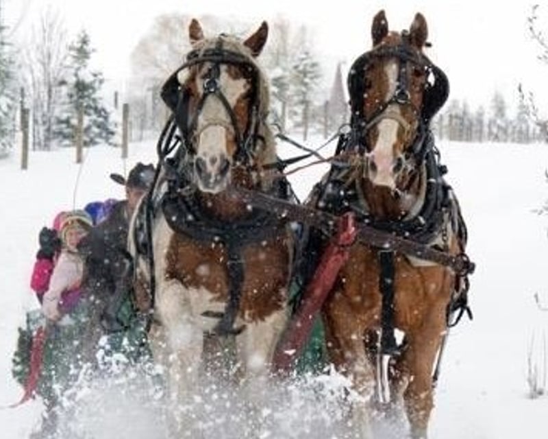 Daytime Sleigh Ride & Riverside Campfire Story in Bozeman