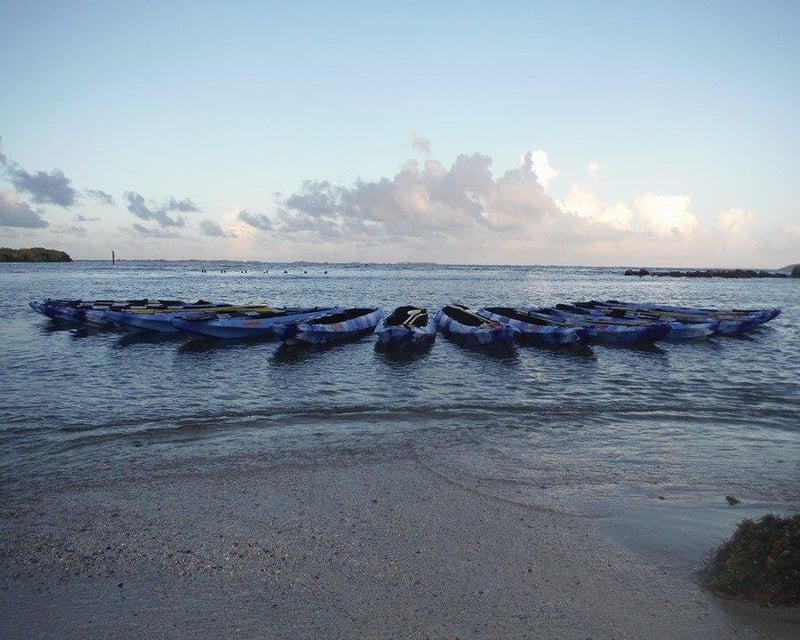 Bioluminescent Kayak Tour in Fajardo
