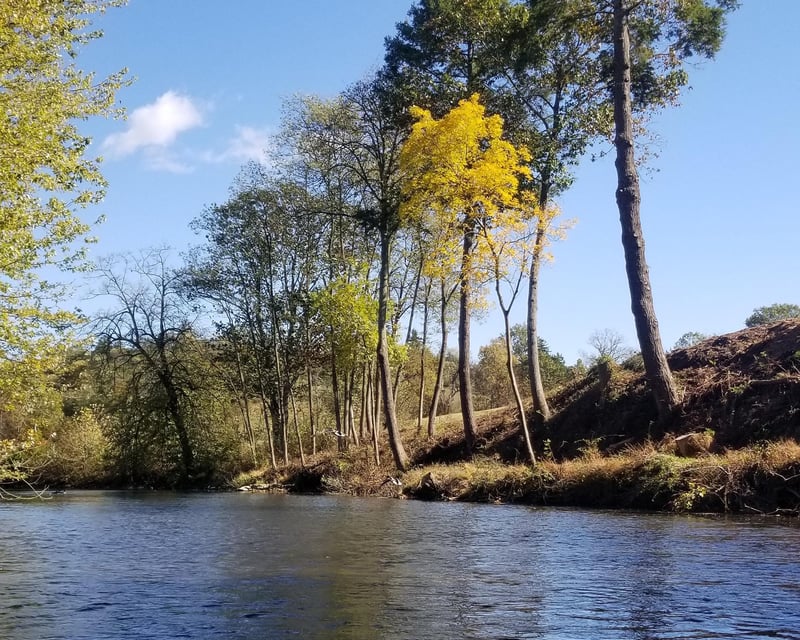 Guided Fall Foliage Paddle on Yellow Breeches Creek