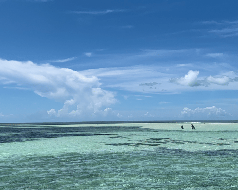 Key West Sandbar Private Charter