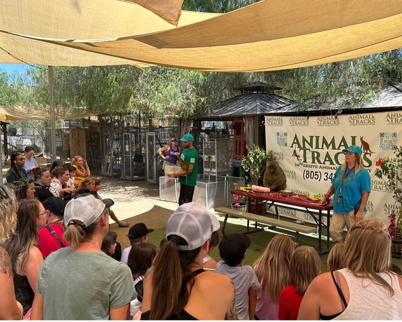 Tour Rescued Wildlife in Agua Dulce