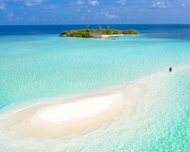 Key West 4-Hour Sandbar Charter
