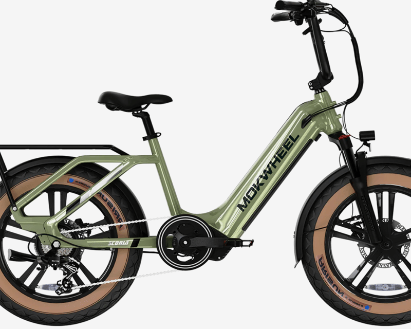 Fat Tire E-Bike Rental in Huntington Beach