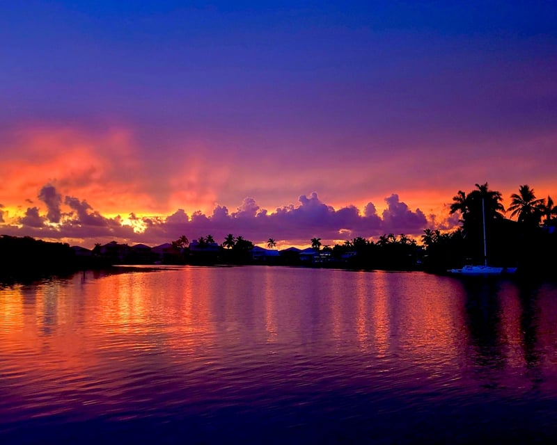 Sunset Shelling & Dolphin Tour in Goodland