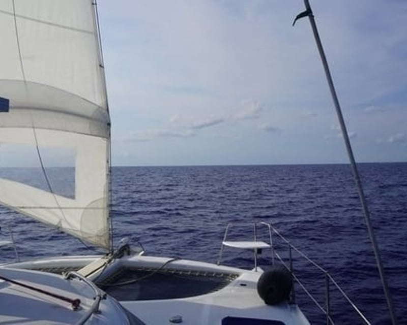 4-Hour Sandbar or Reef Charter in Key West