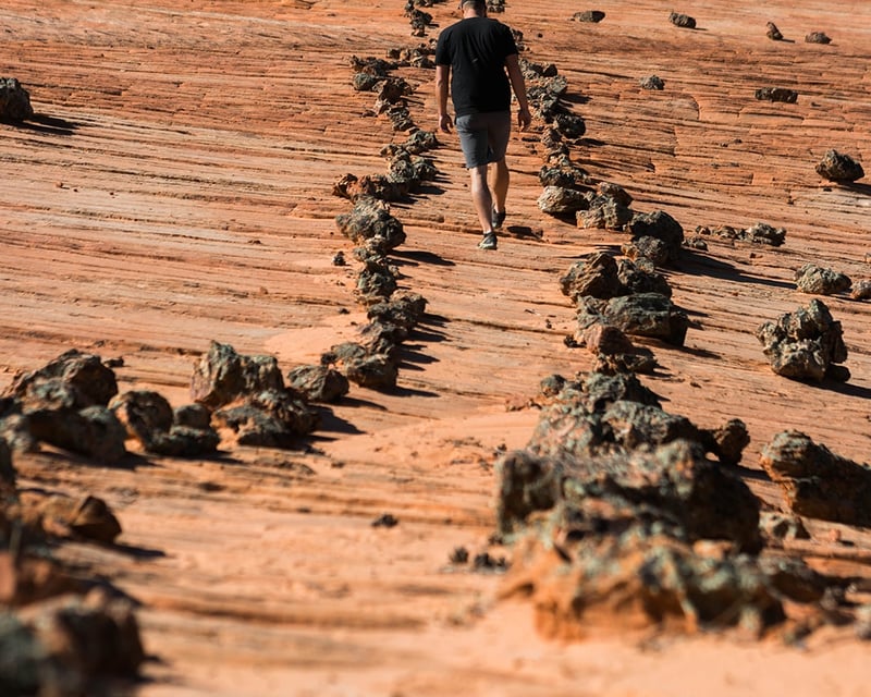 Explore East Zion Outback on a 5-Hour Guided UTV Tour