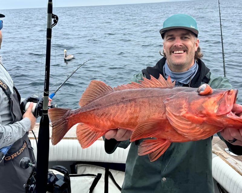 6-Hour Fishing Charter in San Diego