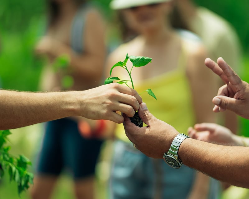 Farm-to-Table Harvest & Cooking Class from San Juan