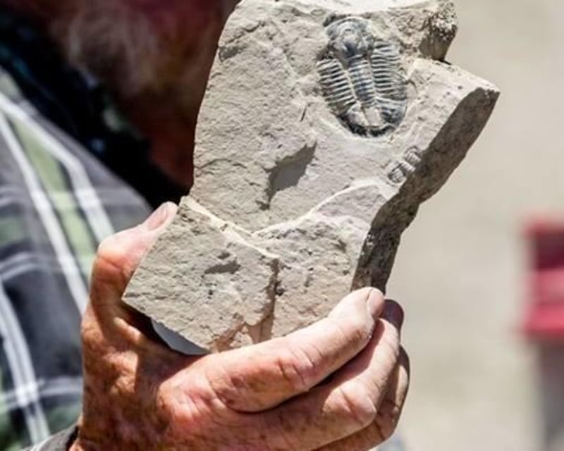 Group Trilobite Fossil Dig Near Delta, Utah