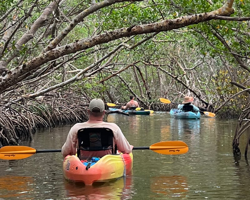 Lido Key Mangrove Tunnels Kayak & Paddleboard Rental
