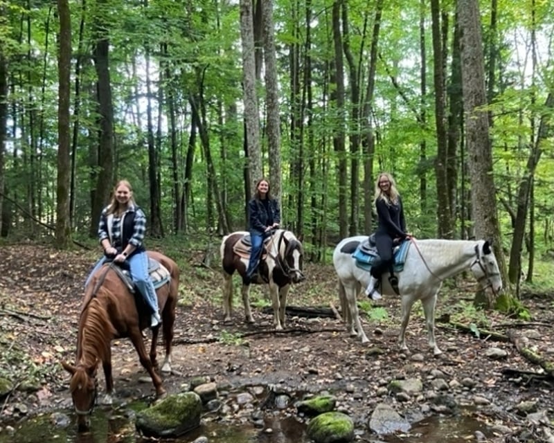Scenic Horseback Trail Ride in Lake Luzerne