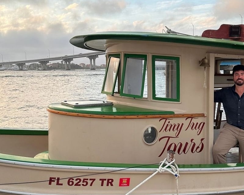 Dolphin Sightseeing Cruise in St. Augustine