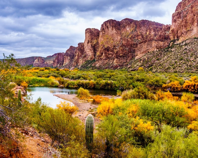 Private Sonoran Desert Tour to Saguaro Lake from Phoenix