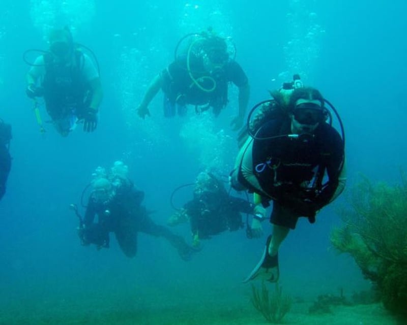 Marathon Scuba Refresher Course With Pool & Reef