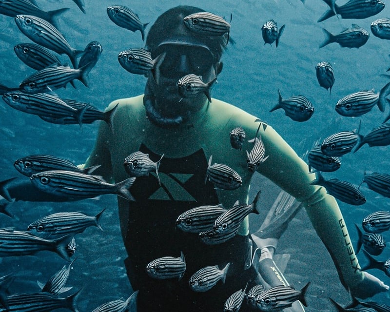 5-Day Freediving Instructor Course in Key Biscayne