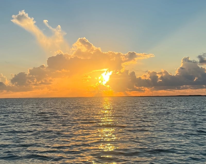 Everglades & Florida Bay Eco Boat Tour from Islamorada