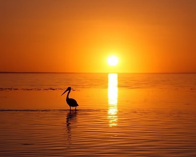 Sunset Cruise on Sarasota Bay
