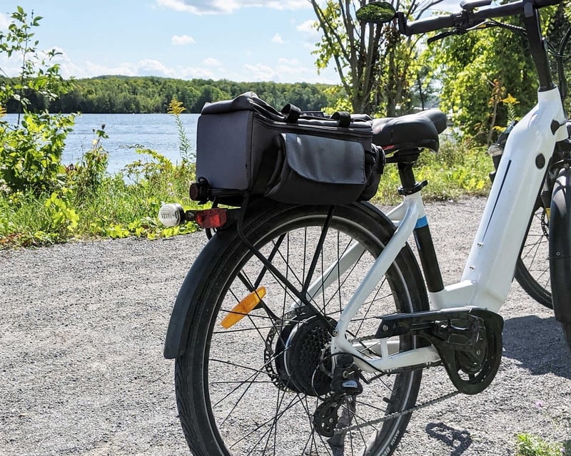Full-Day Aventon E-Bike Rental in Sarasota