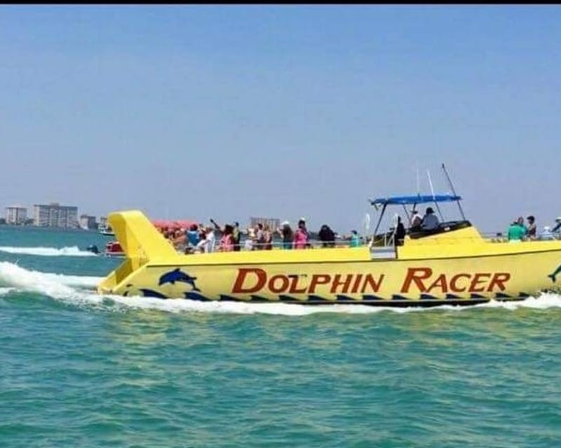 Dolphin Cruise in St. Pete Beach