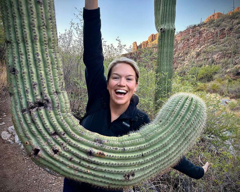 Guided Sonoran Desert Botany & Geology Hike in Tucson