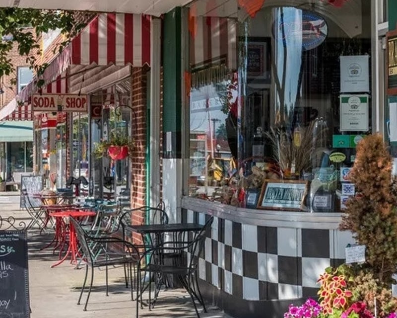 Guided E-Bike Tour from Brevard to Pisgah National Forest